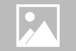 爱游戏中国-西亚卡姆在美国队比赛中晋级下一阶段，锐不可当引发热议！